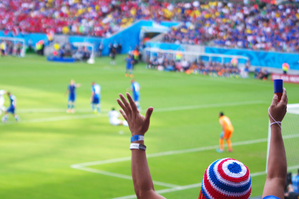 Fan at professional soccer match