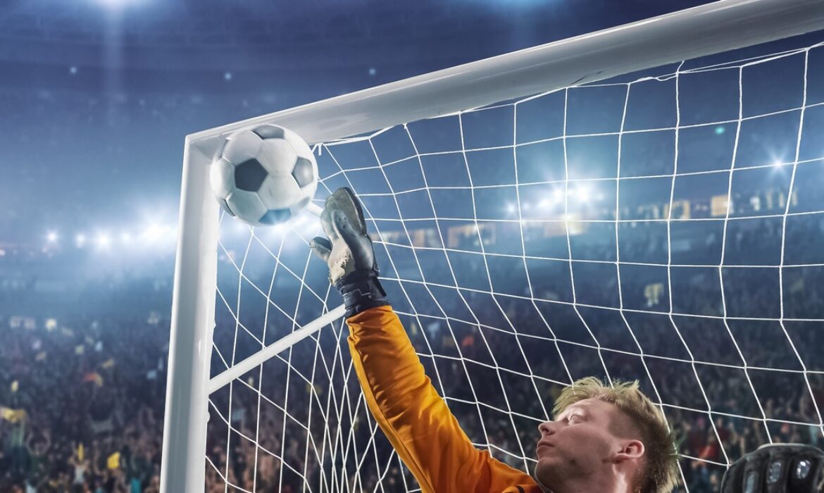 Soccer goalkeeper in action on the stadium