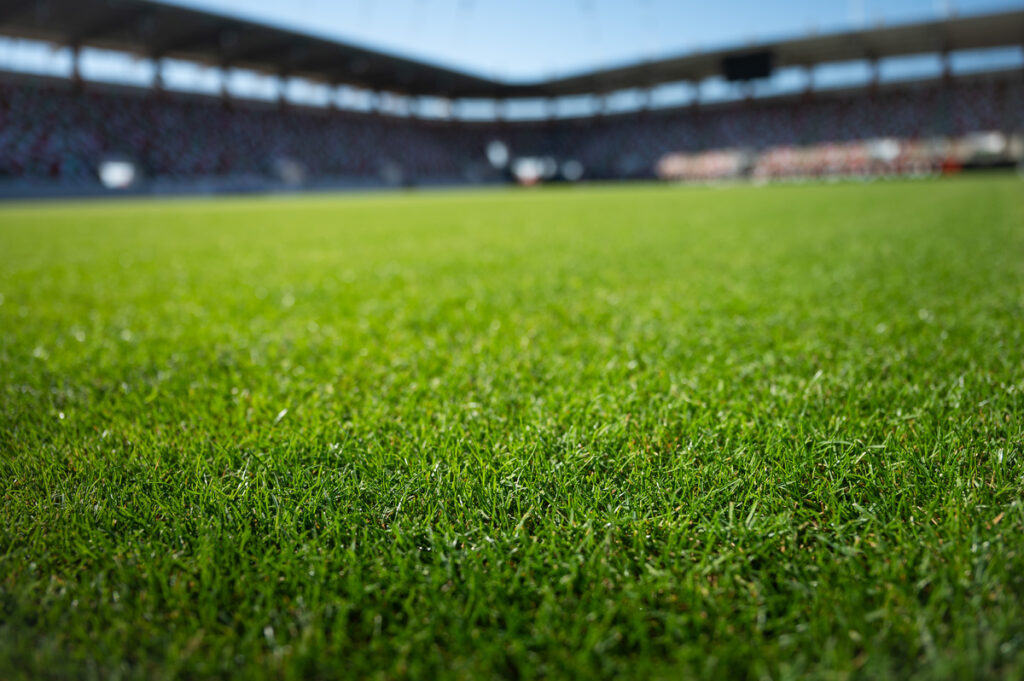 Grass at the football stadium during sunny summer day