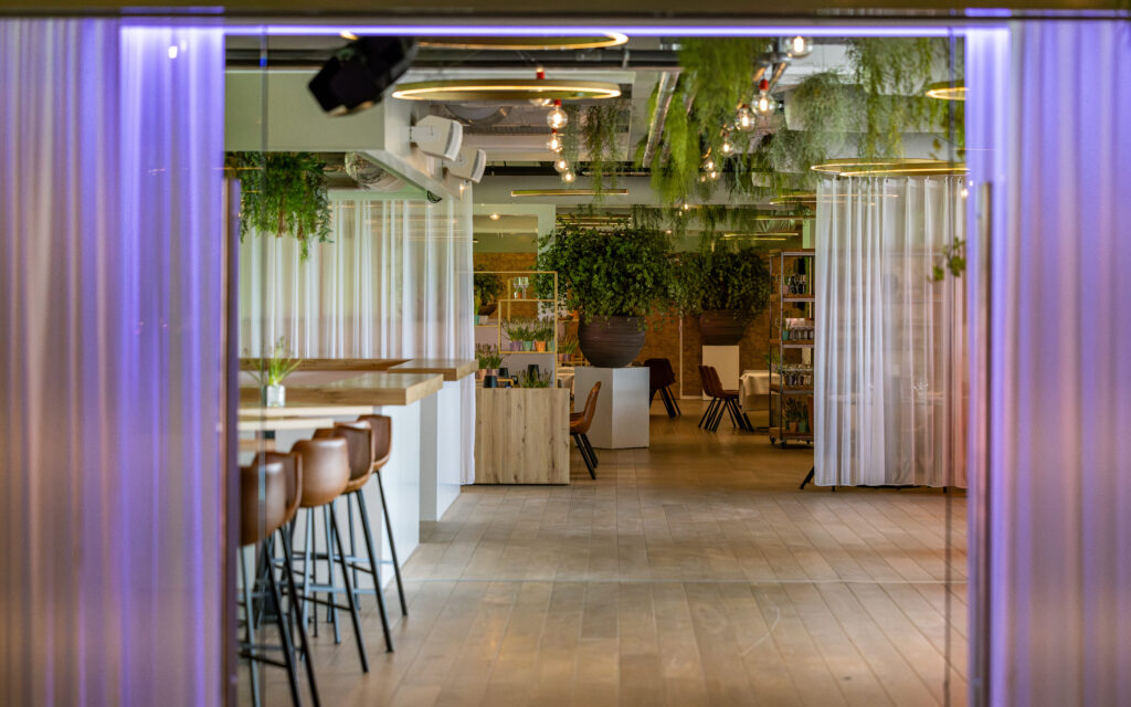 Modern, stylish lounge area with wooden flooring, greenery, ambient lighting, and elegant seating, viewed through a softly lit entrance with translucent curtains.